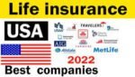Top 10 Insurance Companies in the USA: Find the Best Coverage for You
